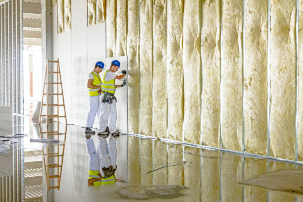 Best Commercial Insulation Services  in Richnd Heights, MO